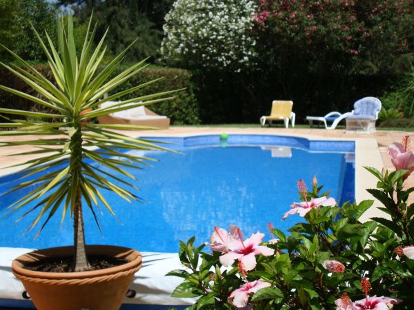 Cost of Pool Terrace Renovation in Toms River